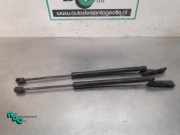 Heckklappendämpfer Suzuki SX4 EY, GY 8711TQ