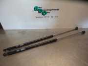 Heckklappendämpfer Hyundai Coupe RD 8177027010