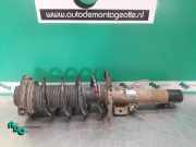 Federbein rechts vorne Seat Ibiza III 6L