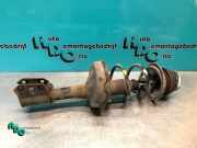 Federbein rechts vorne Renault Twingo II CN0 8200367895