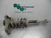 Federbein rechts vorne Audi A4 Avant 8E, B6 8E0413031BF