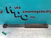 Heckklappendämpfer Kia Picanto 2 TA 817801Y010