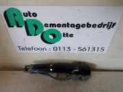 Türgriff links hinten Seat Toledo II 1M