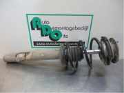 Federbein links vorne BMW 5er E39 1021137612A