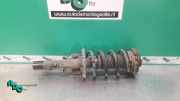 Federbein links vorne VW Polo IV 9N, 9A