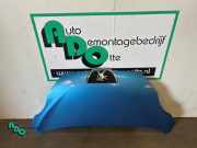 Motorhaube Peugeot 107 79017