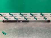 Heckklappendämpfer links Peugeot 107 871010204