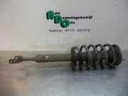 Federbein links vorne Audi A6 4B, C5