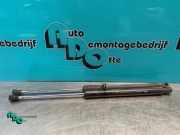 Heckklappendämpfer Renault Clio III BR0/1, CR0/1 8200299546