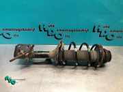 Federbein rechts vorne Nissan Pixo UA0 41601M68K00