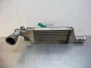 Ladeluftkühler Opel Combo C Kasten 24466787