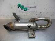 Kühler für Abgasrückführung Ford Transit Connect P*2