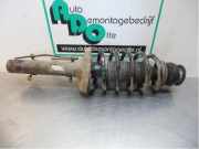 Federbein rechts vorne VW New Beetle 9C 1J0413031AG