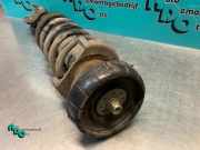 Federbein links vorne Renault Trafic II Kasten FL NIETAANWEZIG