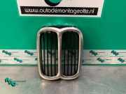 Kühlergrill BMW 5er E12 1817683