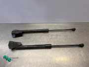 Heckklappendämpfer Citroen DS3 SA 9687550980