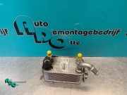 Heizungskühler Ford S-Max I WA6 6G917A095AD