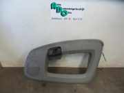 Türverkleidung rechts vorne Peugeot Boxer Kasten