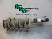 Federbein links vorne Ford Transit Connect P*2 5T1618058AA