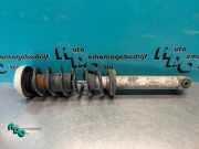 Federbein rechts hinten BMW 5er E60 33526775059