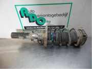 Federbein rechts vorne Seat Ibiza III 6L 6Q0413031BR