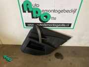 Türverkleidung rechts hinten BMW 5er E60 E345962SW