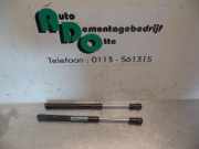 Heckklappendämpfer Chrysler 300 C LX, LE 05065659AA