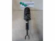 Federbein rechts vorne VW Passat B5 3B2 3B0413031A