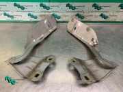 Motorhaubenscharnier Renault Twingo II CN0 8200343122