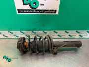 Federbein links vorne Audi A3 8P 824904000570