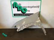 Kotflügel links vorne Dacia Duster PYM, PYN 622B78652R