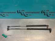 Heckklappendämpfer Toyota Starlet P9 4JK07WJ91