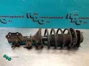 Federbein rechts vorne Hyundai Getz TB