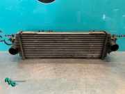 Ladeluftkühler Opel Vivaro A Kasten X83 91166035