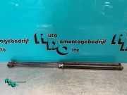 Gasfeder für Motorhaube Mini Mini R50, R53 41617066566