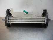Ladeluftkühler Ford Transit Connect P*2