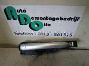 Türgriff rechts vorne Renault Clio III BR0/1, CR0/1 226526