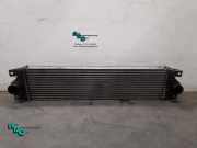 Ladeluftkühler Opel Movano Kasten X70 874806MC