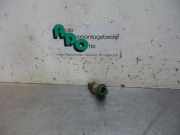 Einspritzdüse Jaguar XJ NAW, NBW 768222891