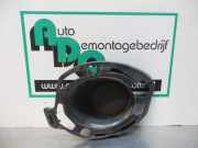 Lüftungsgitter für Stoßfänger Renault Clio III BR0/1, CR0/1 P0019372