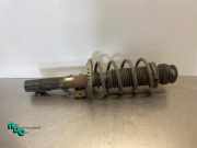 Federbein links vorne Skoda Fabia II Kombi 545 6Q0413031BJ