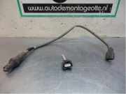 Lambdasonde Renault Twingo II CN0 H7700107433