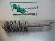 Federbein links vorne VW Passat 5.5 Variant 3B6