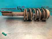 Federbein links vorne Fiat Ducato Kasten 280