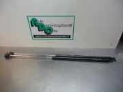 Heckklappendämpfer Hyundai Coupe RD 8177027011