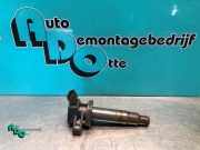 Zündspule Peugeot 107 9008019019