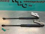 Heckklappendämpfer Renault Twingo II CN0 8200385560