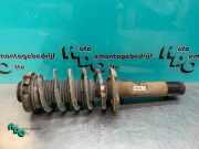Federbein rechts vorne VW Caddy III Kombi 2KB 1T0413031GB