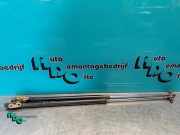 Heckklappendämpfer Toyota Starlet P8 6895010130