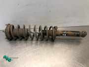 Federbein rechts hinten Toyota Starlet P9 00801405